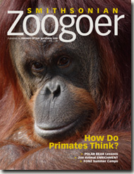 Smithsonian Zoogoer January/February 2009 cover
