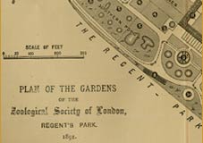 plan of gardens