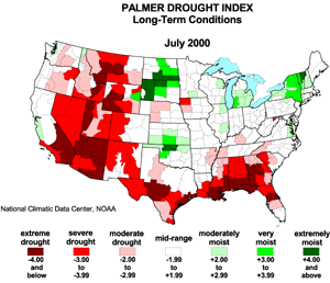 U.S. Animated PDI