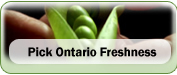 Pick Ontario Freshness
