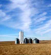Grain silos on the Kansas plains.