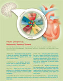 Heart Dynamics