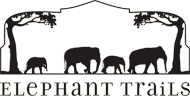 Elephant Trails