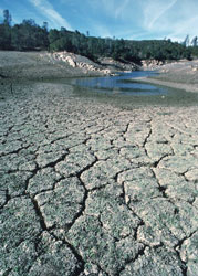 Lake almost empty due to drought