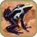 poison arrow frog