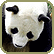 giant panda