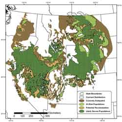 Sage-Grouse Population Model: Changes to greater sage-grouse distribution in the American West predicted by a new scientific model based on extensive study of sage-grouse range contraction. 