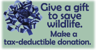 Give a gift to save wildlife. Make a tax-deductible donation.