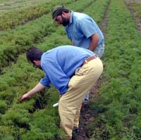 researcher and farmer