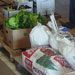 Badgerland Produce Auction tour