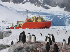 Photo:BGentoo penguins and the Research Vessel LAURENCE M. GOULD near Petermann Island