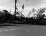 Columbus Day wind storm damage