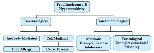Chart: under Food Intolerance & Hypersensitivity are two boxes: Immunological and Non-Immunological.  Under Immunological are two boxes: Antibody Mediated and Cell Mediated.  Under Antibody Mediated is Food Allergy. Under Cell Mediated is Celiac Disease.  Under Non-Immunological are two boxes: Metabolic Example: Lactose Intolerance and Toxicological Example: Scombroid Poisoning