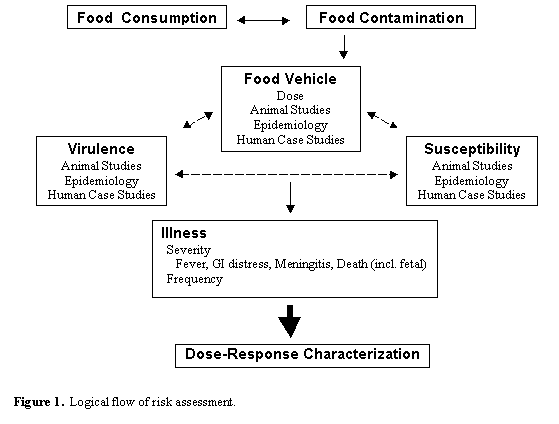 Figure 1: Logical flow of risk assessment