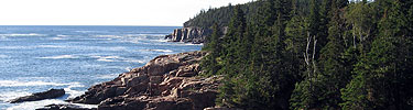 The ocean meets granite cliffs topped by evergreens.