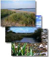  Three pictures of estuaries