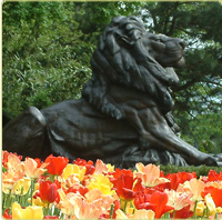 bronze lion at the Zoo's entrance