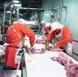Workers cutting meat in a slaughterhouse.