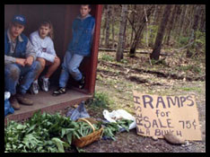 Three young people in a wooden shelter, with baskets of ramps on the ground in front of them.