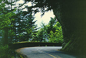 Historic Columbia River Highway.