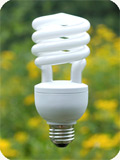 compact fluorescent bulb