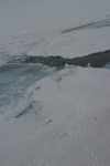 Polar Bear Tracks Along Arctic Sea Ice: Polar bear tracks along a piece of Arctic sea ice. (Arctic)