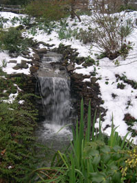 Hosta Garden Waterfall