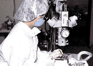Scientist in Labcoat and Mask