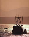 commercial fishing vessel