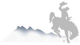 Wyoming Bucking Horse Logo with Mountains in Backgroud