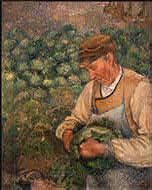 image of The Gardener - Old Peasant with Cabbage