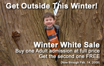 get outside this winter