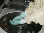 person's hands with rubber gloves on