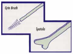 Cyto brush and spatula