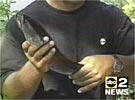 WMAR video of snakehead poisoning in Crofton