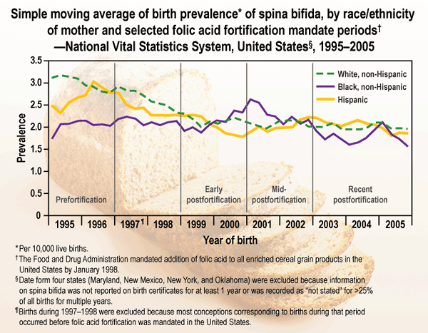 Graph: Simple moving average of birth prevalence of spina bifida, by race/ethnicity of mother and selected folic acid fortification mandate periods - National Vital Statistics System, United States, 1995-2005