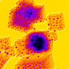 NIST scientists are developing new three-dimensional chemical imaging methods.
