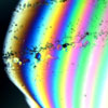 A rainbow of colors indicates the thickness of a clear, organic film used to mount microscopic particles.