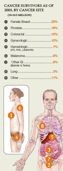 CANCER SURVIVORS AS
OF 2003, BY CANCER SITE: Female Breast, 23%; Prostate, 19%; Colorectal, 10%; Gynecologic, 10%; Hematologic (HD, NHL, Leukemia), 7%; Melanoma, 6%; Other GI (Bladder and Testes), 6%; Lung, 3%; Other, 17%