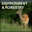 environment and forestry
