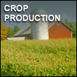 crop production