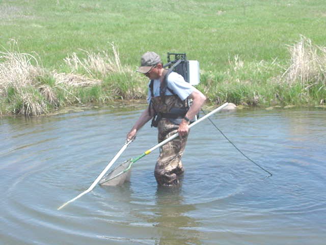 Photograph of Pete Makoweski shocking for fish in a creek near Hartford, South Dakota.