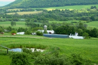 Photo of Twin Oaks farm in Cortland County.