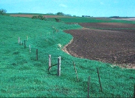 Photo of a diversion installed across the top of a crop field.