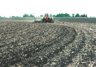 Photo of a harvested crop field with crop residue remaining 
