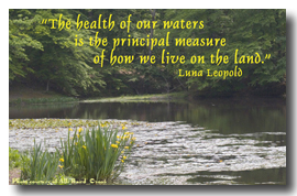 "The health of our waters is the principal measure of how we live on the land." Luna Leopold - 