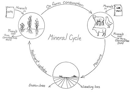 Mineral Cycle
