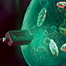 [ILLUSTRATION] A portion of the 19 December 2008 cover of Science: Breakthrough of the Year: Reprogramming Cells