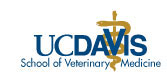 School of Veterinary Medicine
