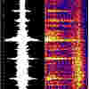 Gorda spectrogram